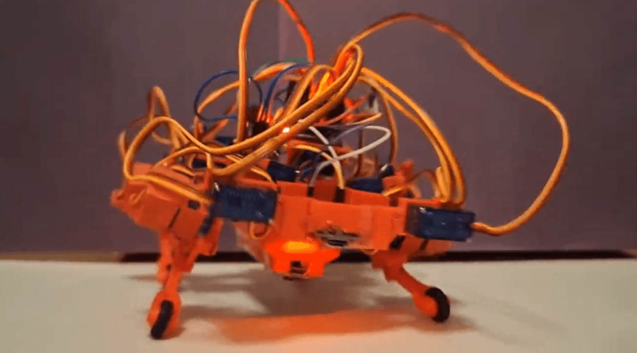The CodeHound robot